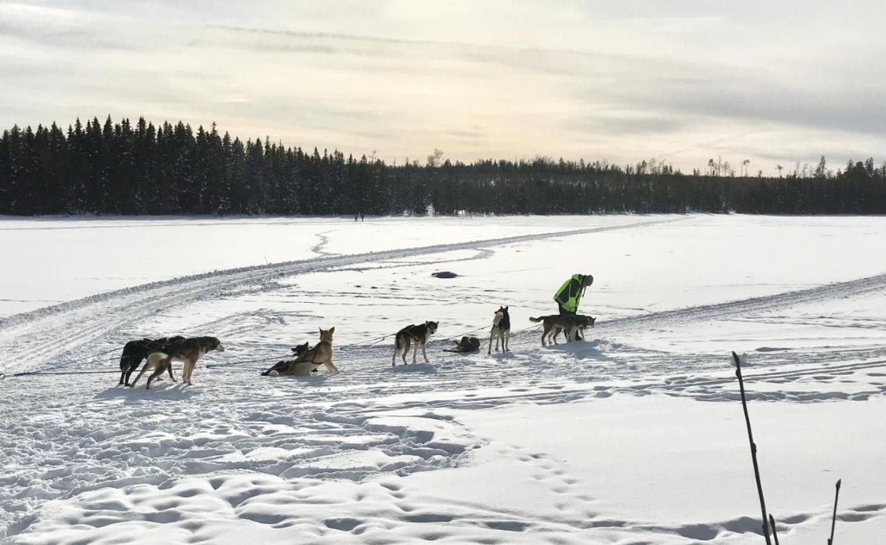 Symaskinshuset Järvsö Exteriör bild