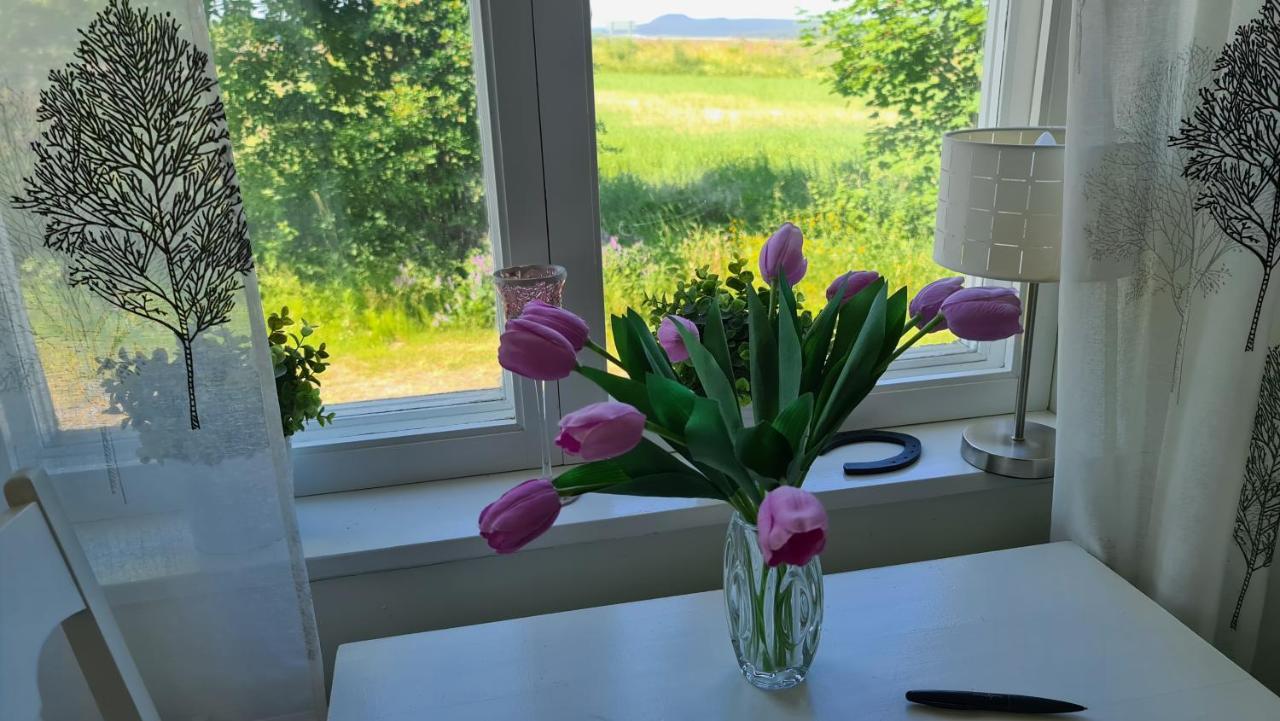 Symaskinshuset Järvsö Exteriör bild